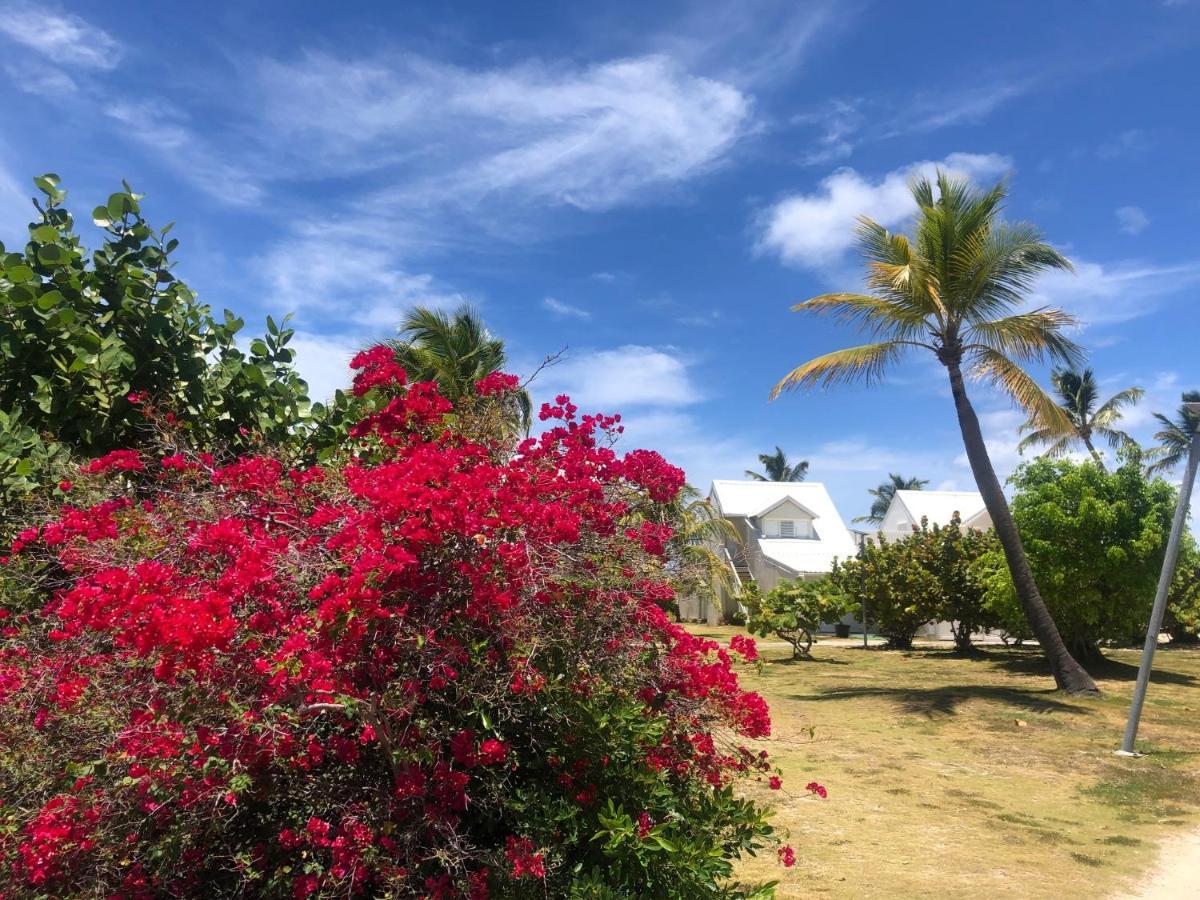 Sweet Home Sxm Baie Nettle Pieds Dans L'Eau Sandy Ground 外观 照片