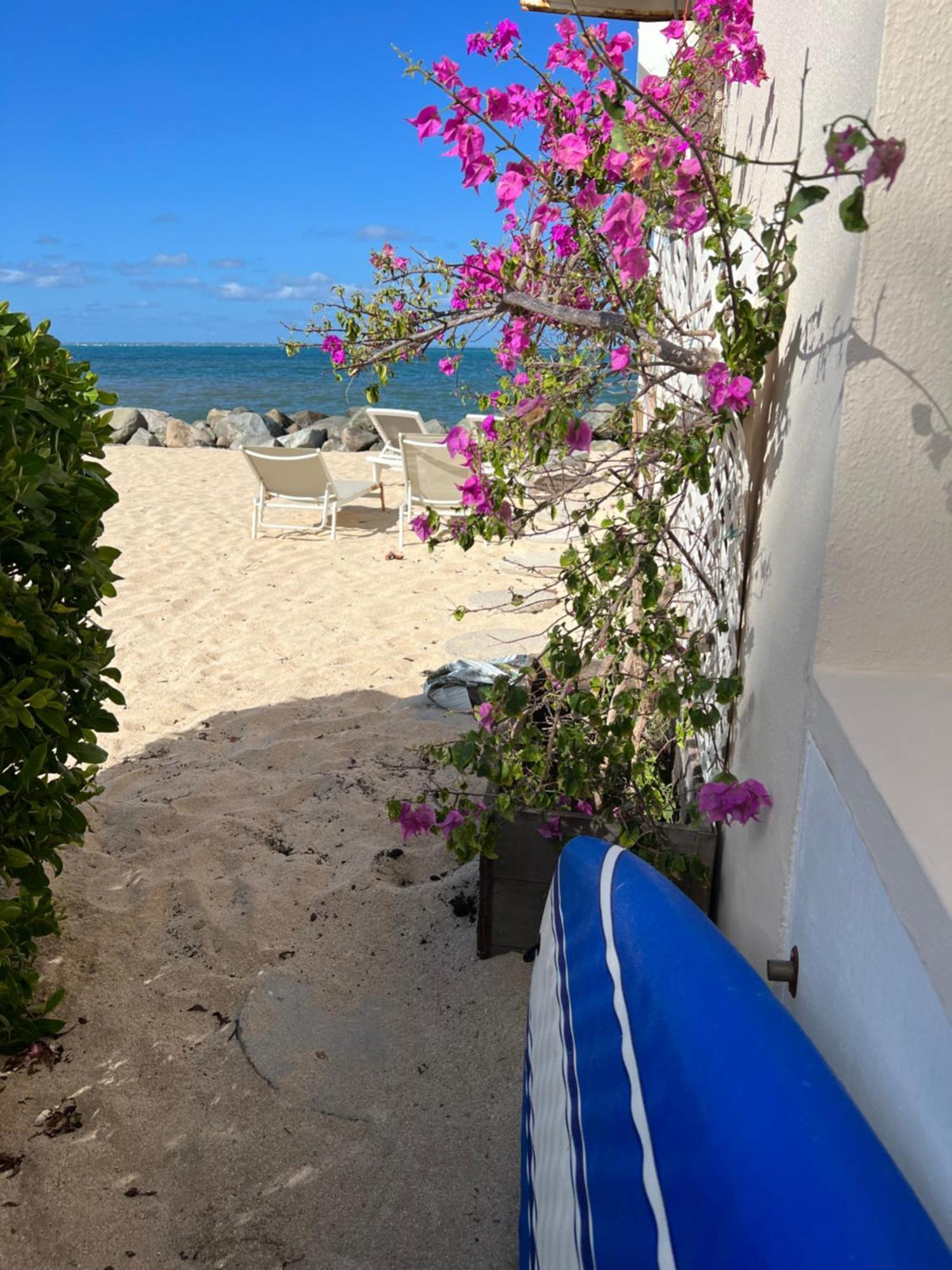 Sweet Home Sxm Baie Nettle Pieds Dans L'Eau Sandy Ground 外观 照片